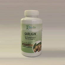 Cargar imagen en el visor de la galería, Candiseptic Kit MagicMag y Kadsorb | Limpieza de Hongo Candida Albicans & Duo Dinámico